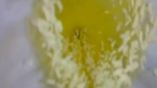 Наша малышка питайя смотреть онлайн