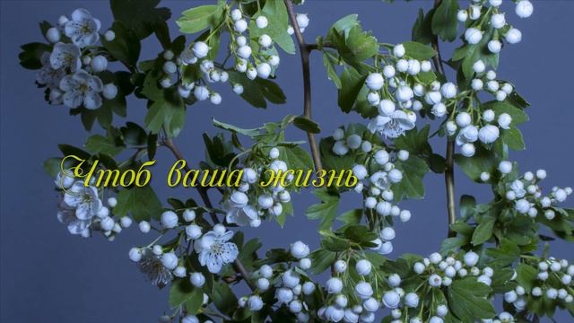 Желаю счастья и добра . Музыка Андрея Обидина смотреть онлайн