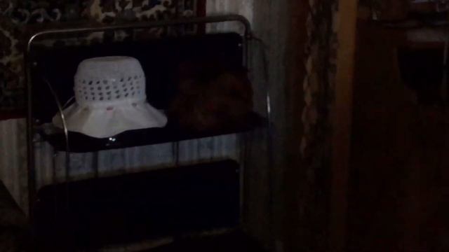 🍀VLOG✨Едем к бабушке🙈ЧТО СЛУЧИЛОСЬ? МАМА УПАЛА?🌸//VLOG.NASTYA смотреть онлайн