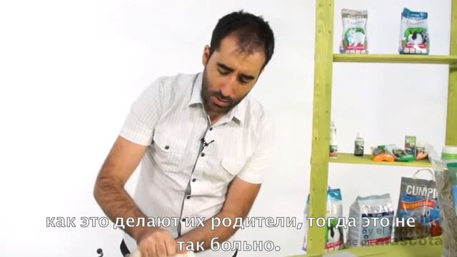 Кролики - как правильно держать кролика смотреть онлайн