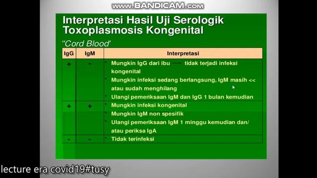 Toxoplasma gondii part 2 #kuliahonline#Parasitologi смотреть онлайн