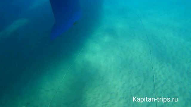 Куда крепится муринг яхты в марине. Швартовка яхты кормой на мёртвый якорь. смотреть онлайн
