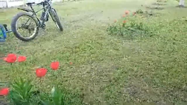 Енакиево смотреть онлайн