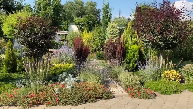 САД В АВГУСТЕ ✂️ОБРЕЗКА кустарников, хвойных ✂️ Ландшафтный дизайн. смотреть онлайн