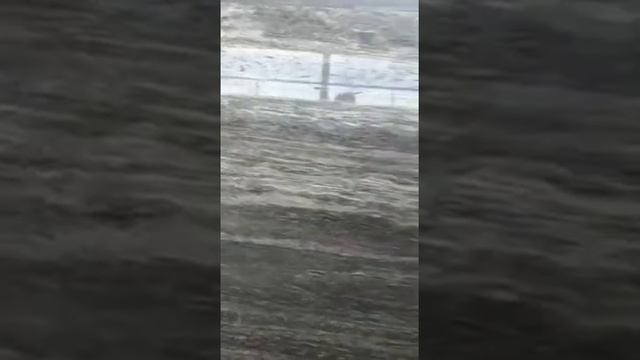 КУПИТЬ СЕРЫЙ ТРАВЕРТИН более 15 оттенков слэбы и плиты. Поставка без посредников.