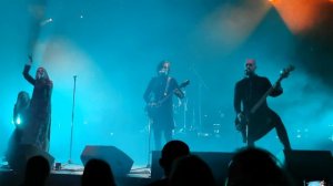 Alkonost - Папоротник