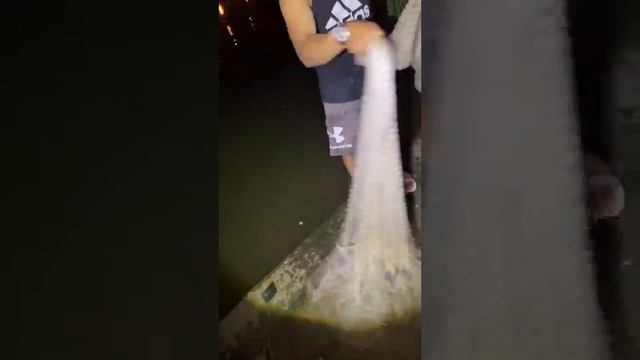 Fishing , net Fishing , , hand Fishing , River Fishing смотреть онлайн