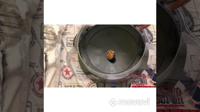 Рандомчик или это то что я думаю ? смотреть онлайн