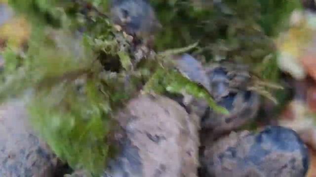 Что здесь произошло? Эти находки меня удивили...Часть 2.