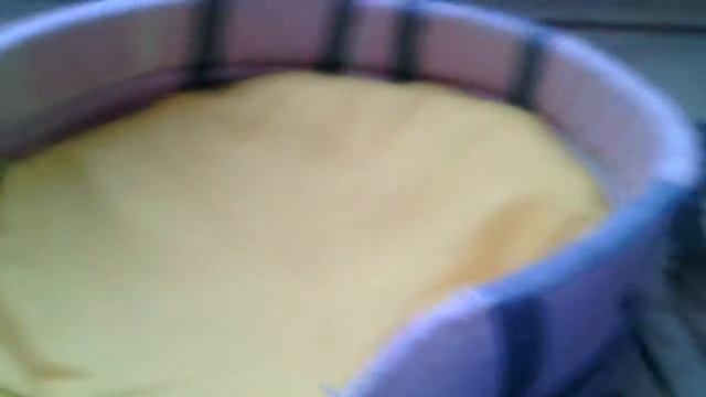 Как подготовить родильное место для кошки ! смотреть онлайн