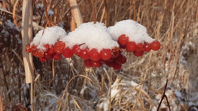 Радоваться каждому мгновению смотреть онлайн
