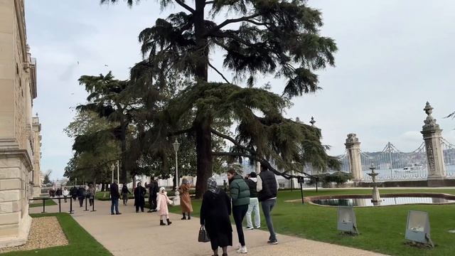 Стамбул 2024. Сумасшедшие цены. Как экономить туристу в Стамбуле? Новости для туристов.