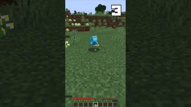 5 фактов про тихоню в майнкрафт #minecraft #minecraftshorts #майнкрафт #facts #факты #shorts смотреть онлайн