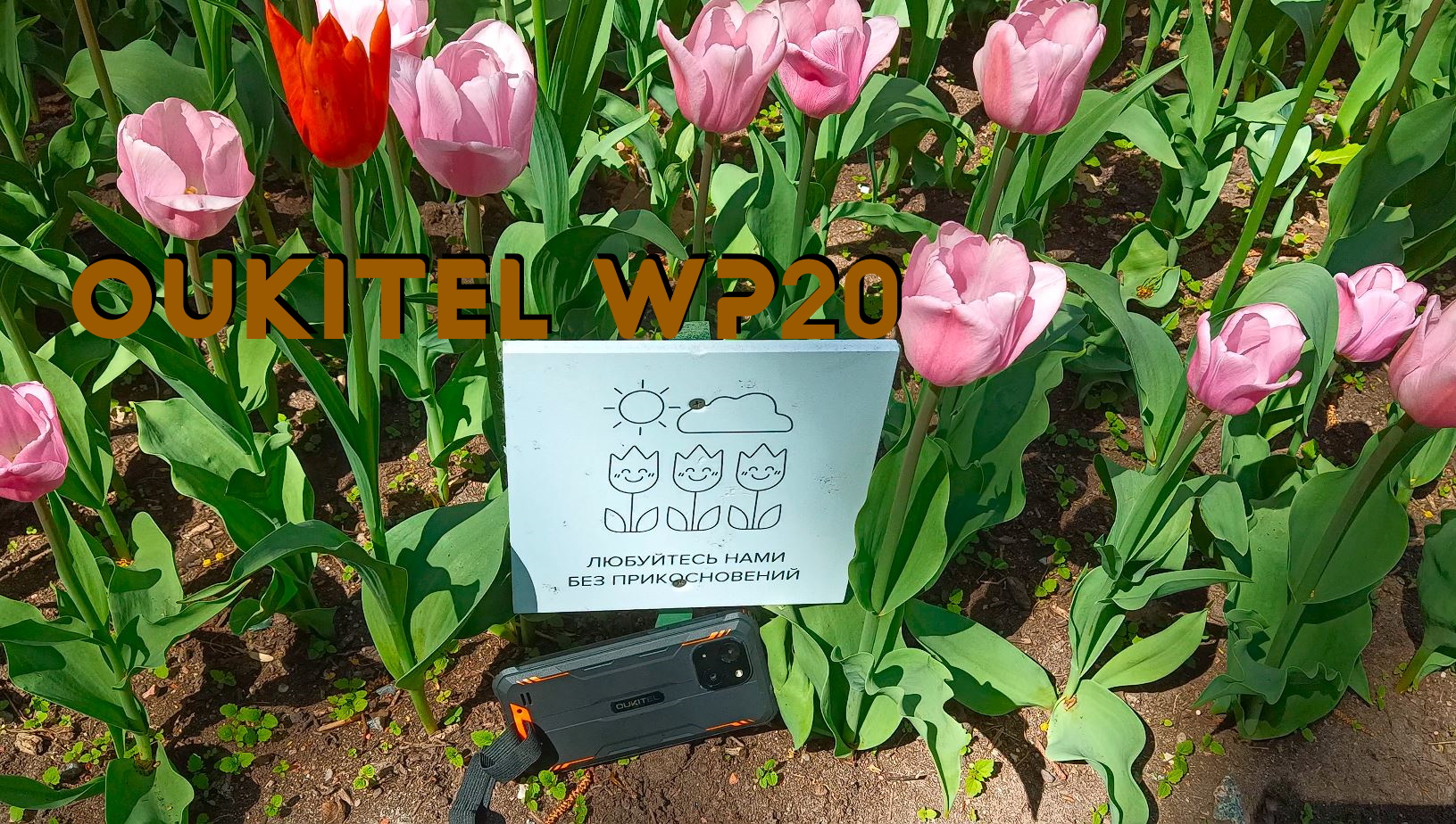 Обзор Oukitel WP20 - дешёвый но не тормоз! И 12 андроид ...