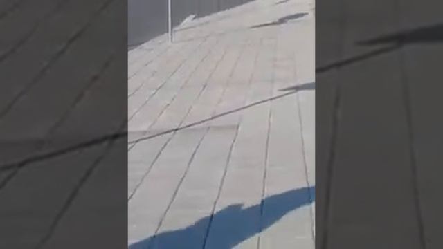 Страна Болгария город Созополь дорога на Бургас и на Созополь Кортеж Кирилла Дмитриевича Белякова смотреть онлайн
