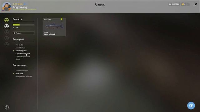 Русская Рыбалка 4. оз. Медвежье. Троф - карп зеркальный + вопрос к подписчикам. смотреть онлайн