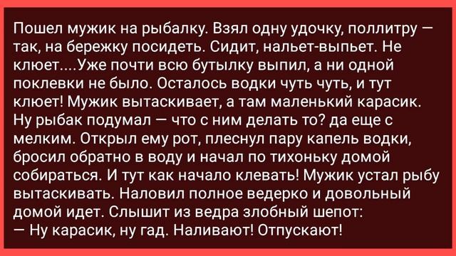 Плоская Женщина Пришла к Пластическому Хирургу! Сборник Смешных Свежих Жизненных Анекдотов! смотреть онлайн