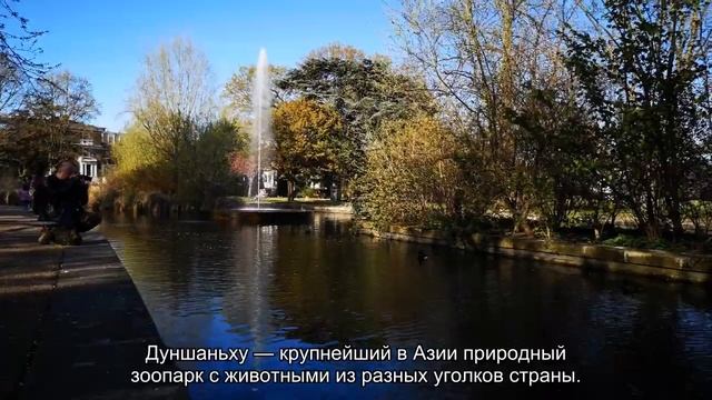 Хайнань: когда лучше ехать отдыхать, сезоны для пляжного отдыха