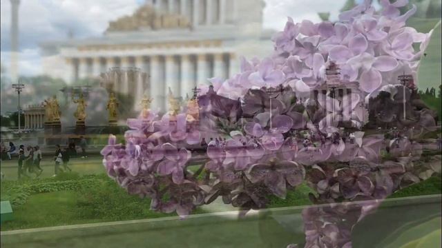 ВДНХ смотреть онлайн