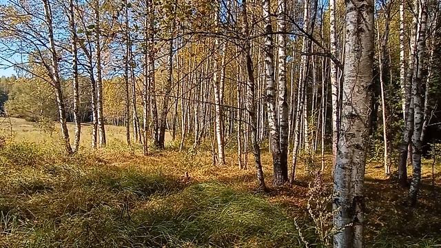 природа 2.mp4 смотреть онлайн
