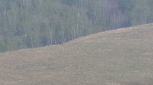 Canon PowerShot SX40 HS