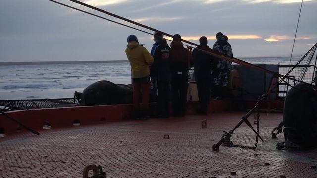 миграция в тепло/ на судне "Михаил Сомов" смотреть онлайн