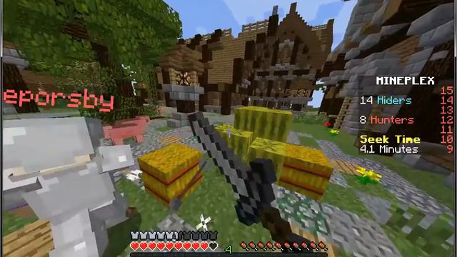 Mr. Epic Bumblebee's New Minecraft Channel and Server Game смотреть онлайн