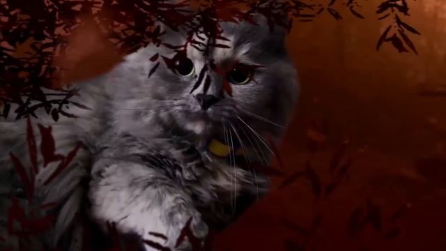 Коти-Вояки. Пророцтва починаються смотреть онлайн
