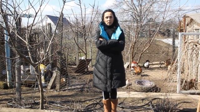 Чтобы куры неслись... Редбро. смотреть онлайн