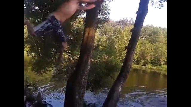 ОСЕЛ УКРАЛ ГАИШНИКА | Смотреть до конца! Подборка приколов 2016 смотреть онлайн
