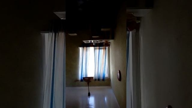 Экскурсия в перевернутом доме. Республика Алтай. смотреть онлайн