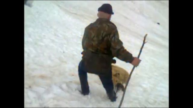 Охота на тура смотреть онлайн