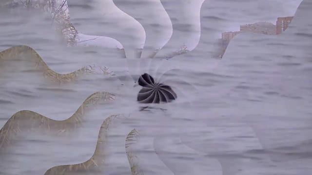 Северное водохранилище, г. Ростов-на-Дону. смотреть онлайн