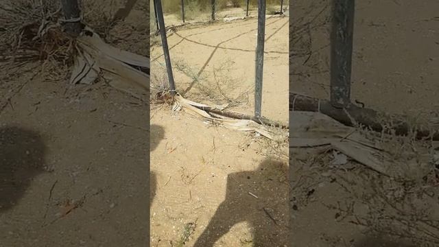 Мангыстау в гостях у сказки смотреть онлайн