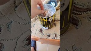 Animal Pak заказанный на Ozon.