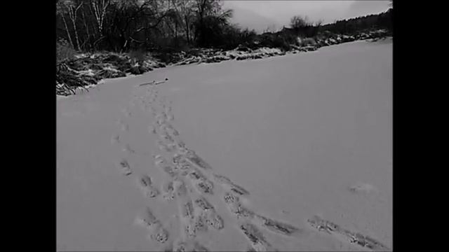 Отличный день. Рыбалка и отдых в лесу смотреть онлайн