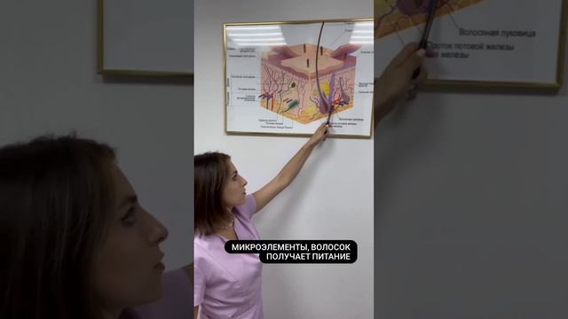 Принцип работы лазерной эпиляции