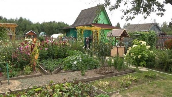 6 соток 24 августа.