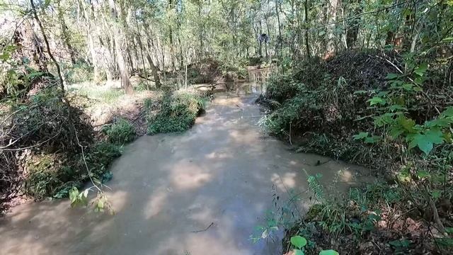 Ripping out a major beaver dam, watch the water flow смотреть онлайн