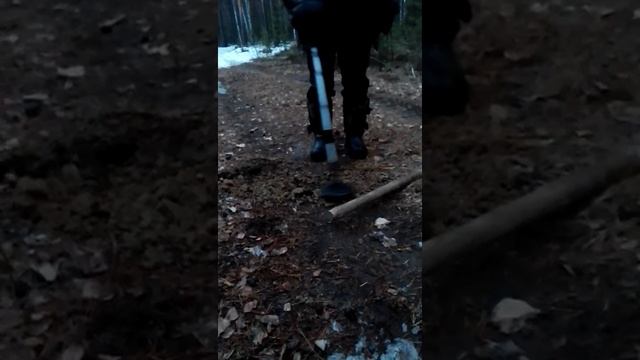 Ищем монеты в лесу с мд 4030 смотреть онлайн