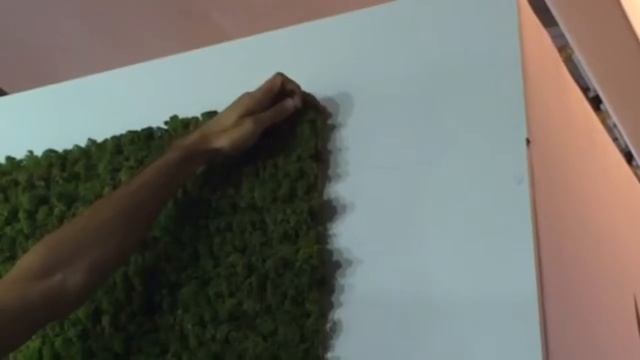 Стена из стабилизированного мха для Ziaja от Студии Зеленка(Zelenka show8) смотреть онлайн