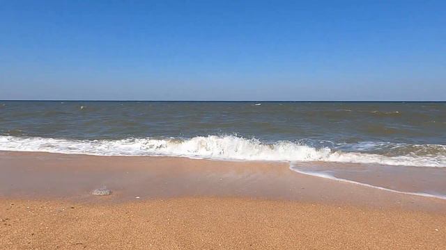 Едем с детьми на Азовское море смотреть онлайн