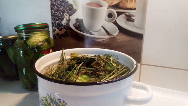 Мед из "первых" рук*Как я Мариную, Солю Огурцы смотреть онлайн