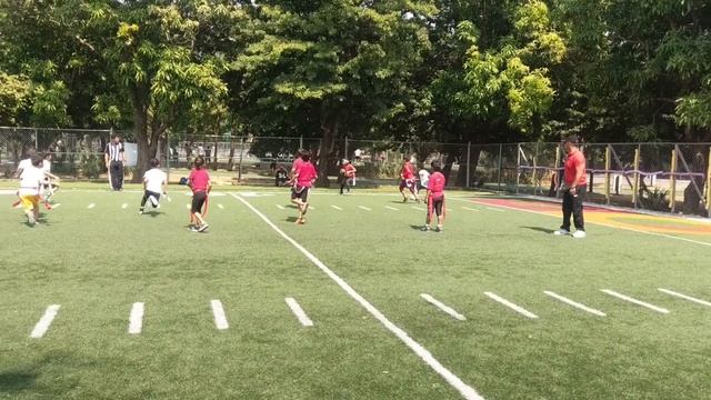 LMTB TOCHO CATEGORIAS INFANTILES OSOS смотреть онлайн