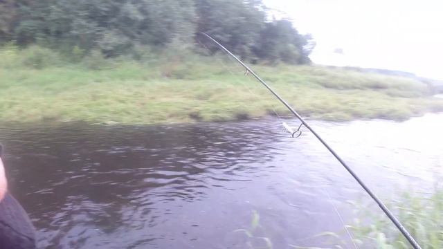 БЫСТРАЯ РАБАЛКА НА МАЛОЙ РЕКЕ!!! На вечёрку со СПИННИНГОМ!!! Рыбалка летом с ЛАЙТовым спиннингом!