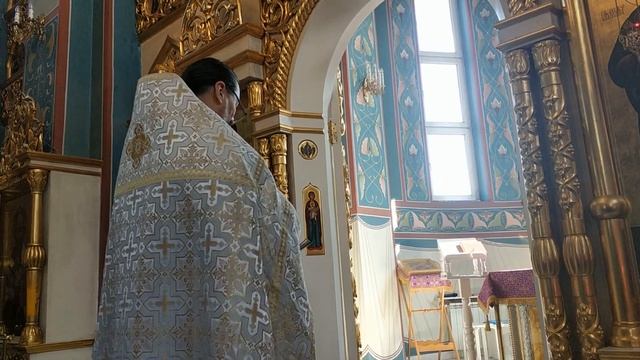 Освящение верб Храм иконы Божией Матери " Избавительница ". смотреть онлайн