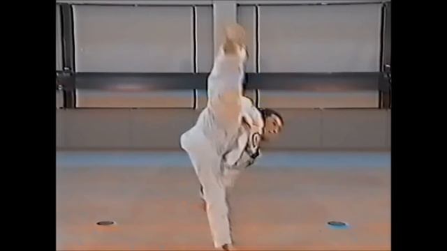 Taekwondo WTF. Спарринговая техника.