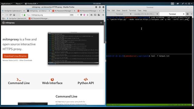 Utilizing Reverse Proxies to Compromise LastPass Users смотреть онлайн