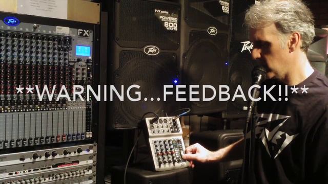 Peavey Feedback Ferret
