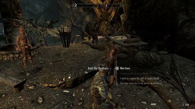 Skyrim SE Followers: Master Difficulty: Aela vs Forsworn Briarheart смотреть онлайн